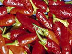 Chilli